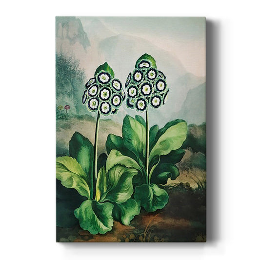 Temple of Flora XI - Canvas Art Print