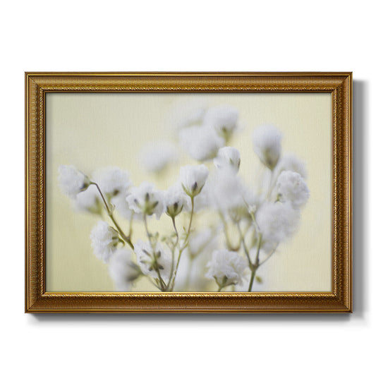 Baby's Breath Study IV Premium Framed Canvas- Ready to Hang