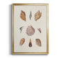 Knorr Shells & Coral VI - Modern Framed Canvas Print
