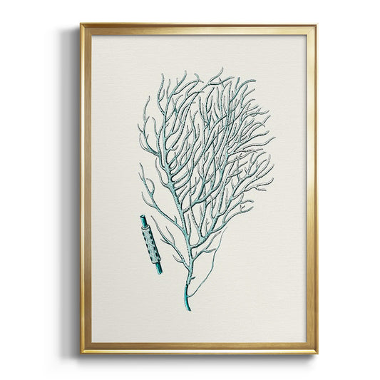 Antique Coastal Coral I - Modern Framed Canvas Print