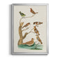 Antique Birds in Nature III - Modern Framed Canvas Print