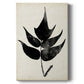 Fern Silhouette IV Premium Gallery Wrapped Canvas - Ready to Hang