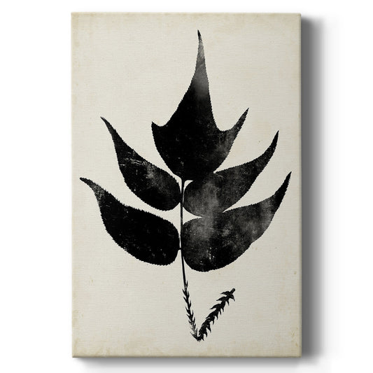 Fern Silhouette IV - Canvas Art Print