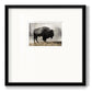 Geyser Basin - Double Matboard Framed Print
