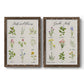 Herbs and Flowers - Premium Framed Canvas 2 Piece Set - Ready to Hang