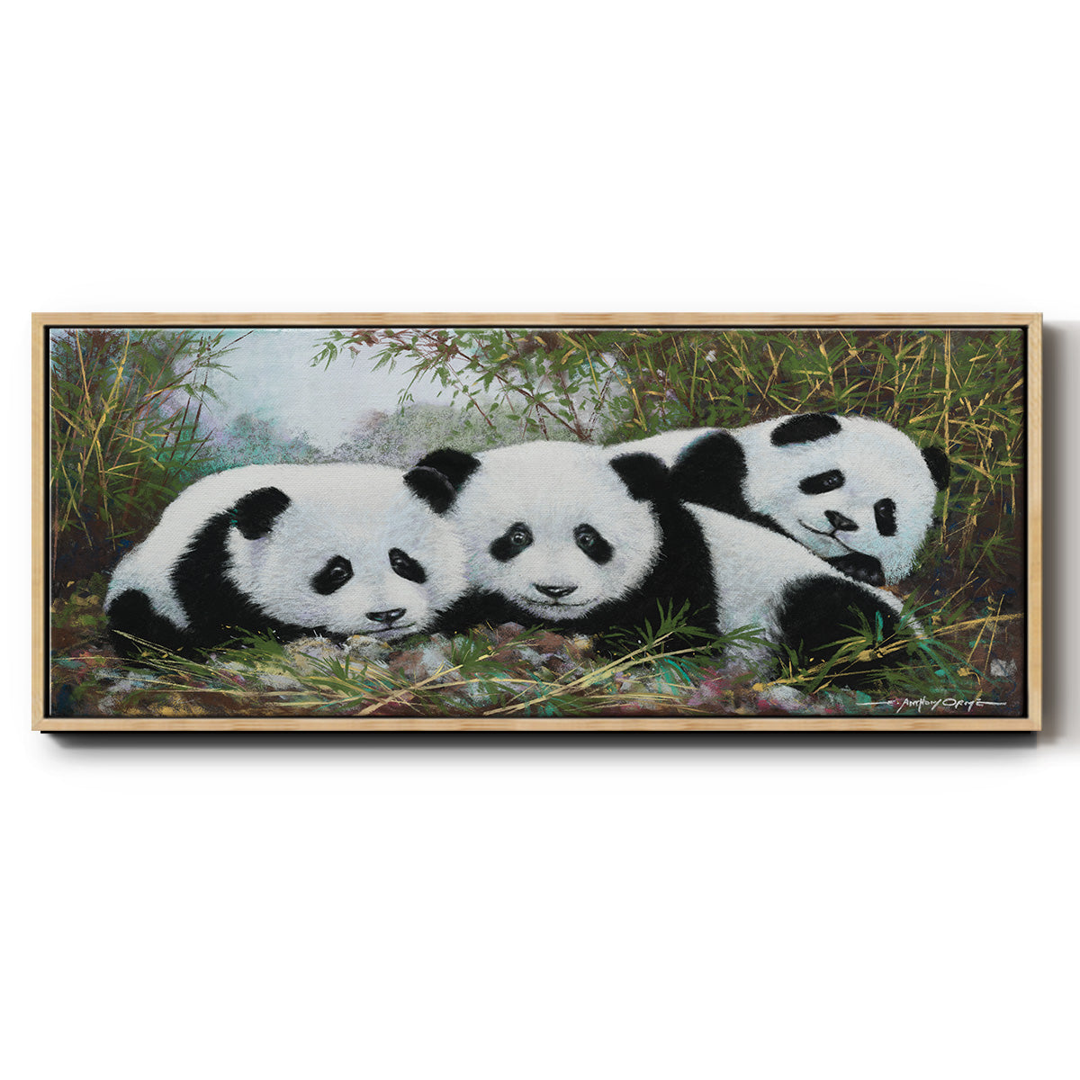Panda Play - Floater Framed Canvas Print