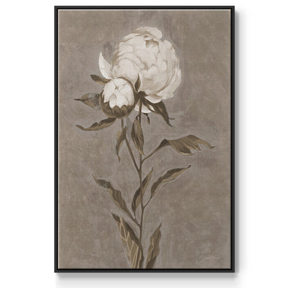 Pretty as a Peony II - Framed Premium Gallery Wrapped Canvas L Frame - Ready to Hang