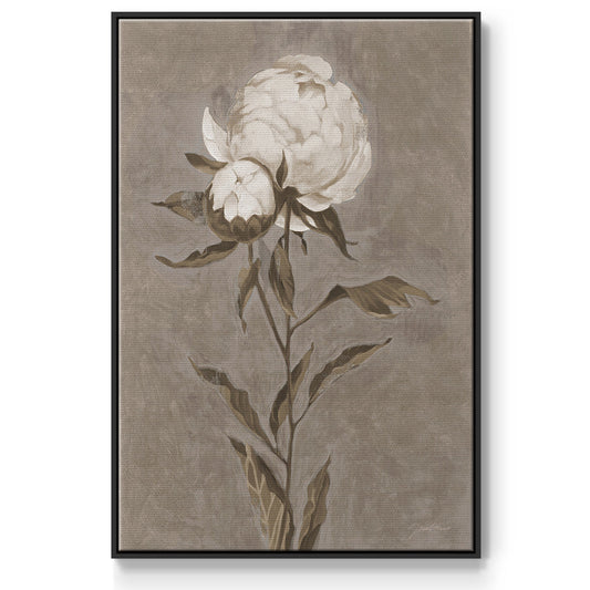 Pretty as a Peony II - Floater Framed Canvas Print