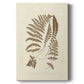 Sepia Ferns II - Canvas Art Print