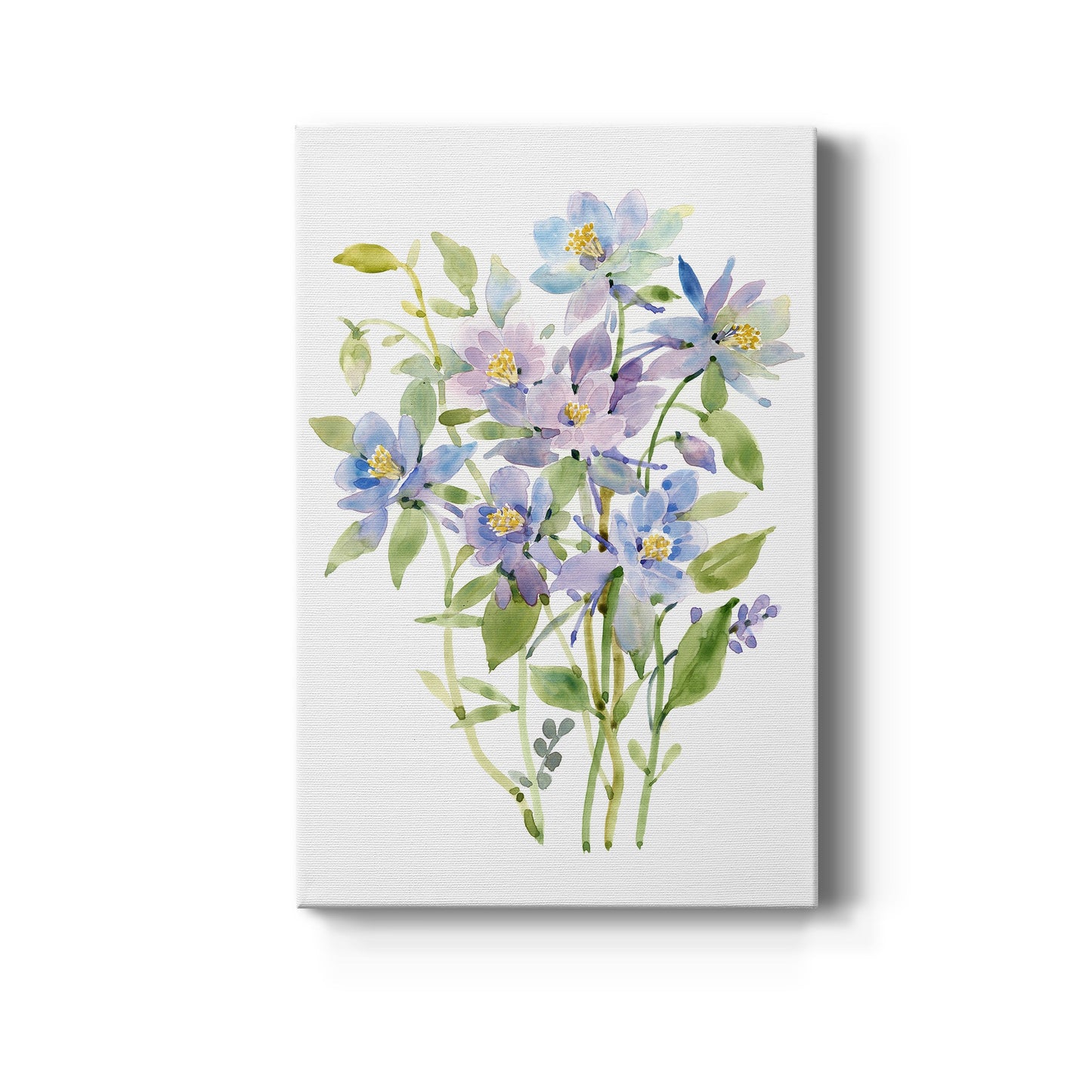 Columbine Spray II Premium Gallery Wrapped Canvas - Ready to Hang