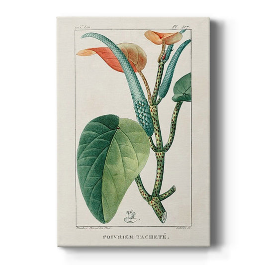 Turpin Tropical Botanicals II - Canvas Art Print