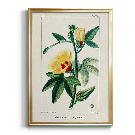 Turpin Tropical Botanicals VI - Modern Framed Canvas Print