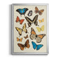 Collected Flutter II - Modern Framed Canvas Print