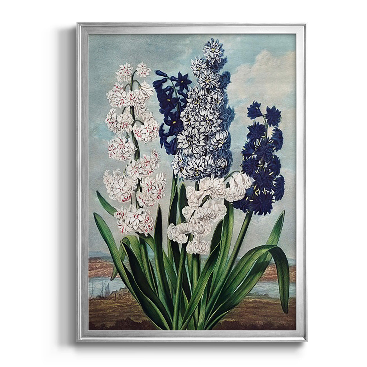 Temple of Flora XII - Modern Framed Canvas Print