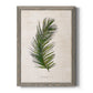 Palm Botanical II - Barnwood Framed Canvas Print
