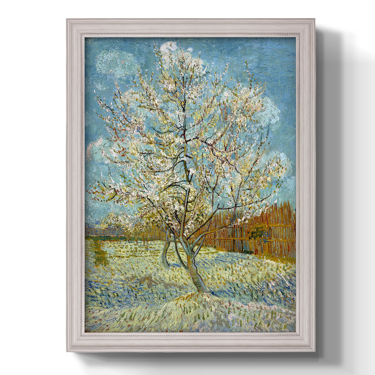  The Pink Peach Tree - Ornate Framed Canvas Print