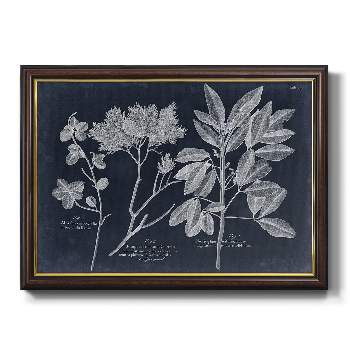 Foliage on Navy VI Premium Framed Canvas- Ready to Hang