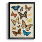 Collected Flutter II - Modern Framed Canvas Print