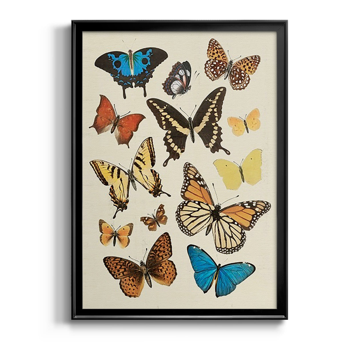 Collected Flutter II - Modern Framed Canvas Print