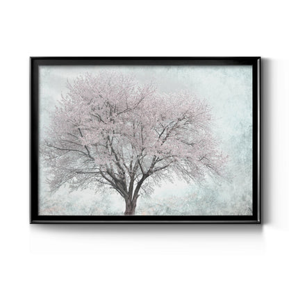A Feel of Spring I - Modern Framed Canvas Print