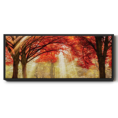 Everland - Floater Framed Canvas Print