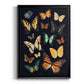 Collected Flutter III - Modern Framed Canvas Print