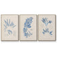 Blue Marine Algae I - Framed Premium Gallery Wrapped Canvas L Frame 3 Piece Set - Ready to Hang