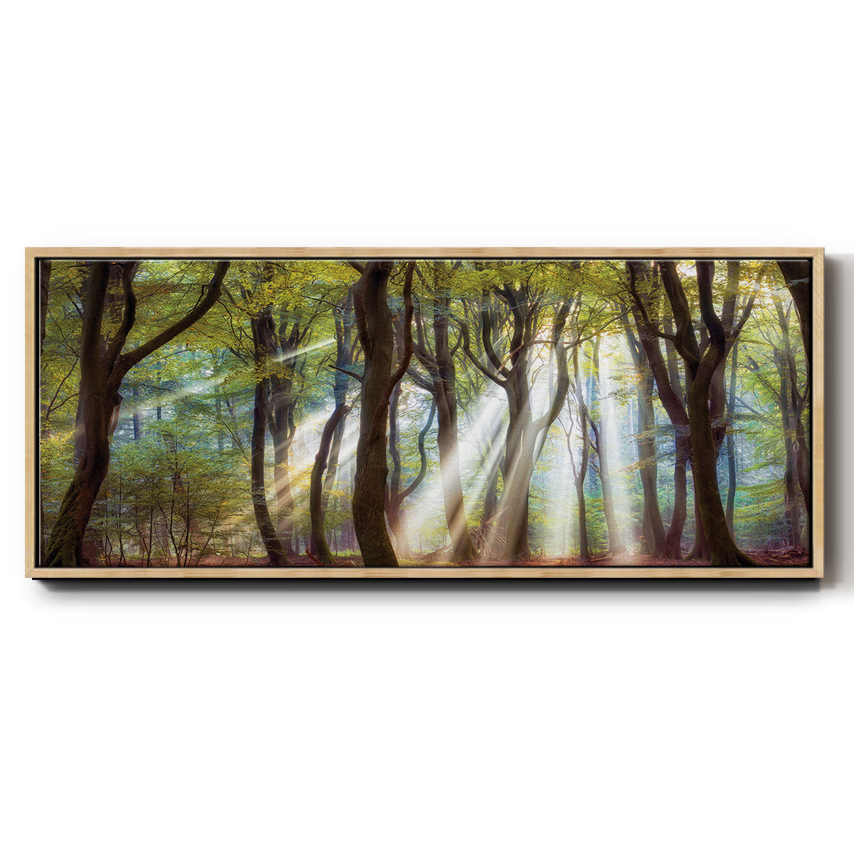 Majestic Morning - Floater Framed Canvas Print