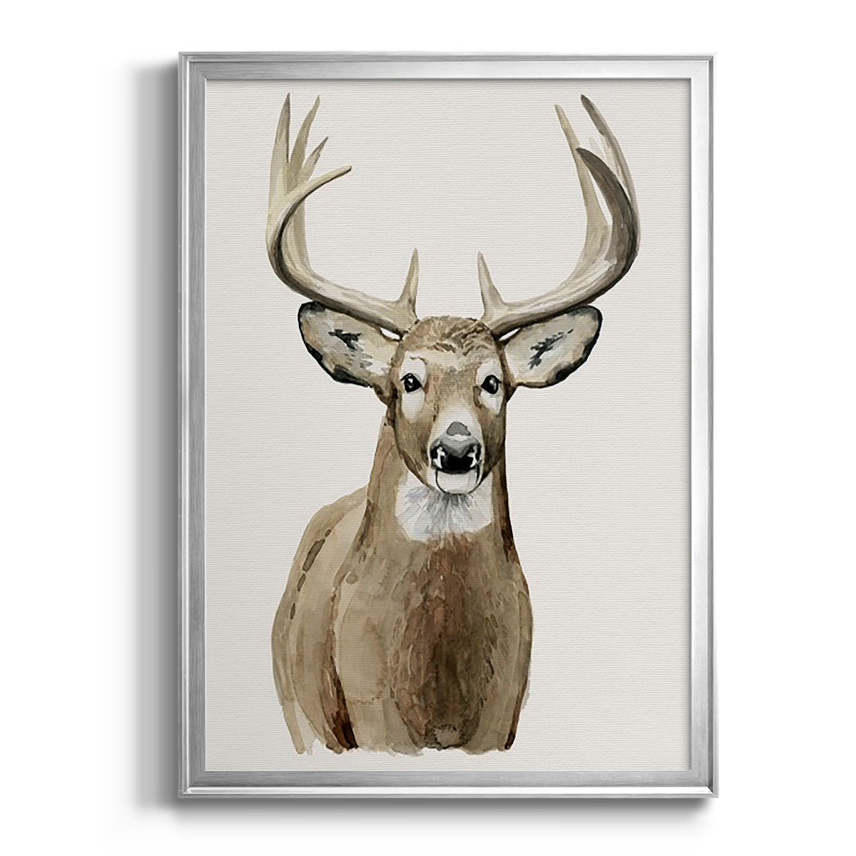 Handsome Whitetail II - Modern Framed Canvas Print