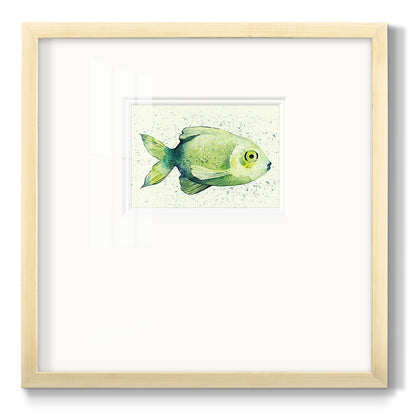 Speckled Freshwater Fish II - Double Matboard Framed Print
