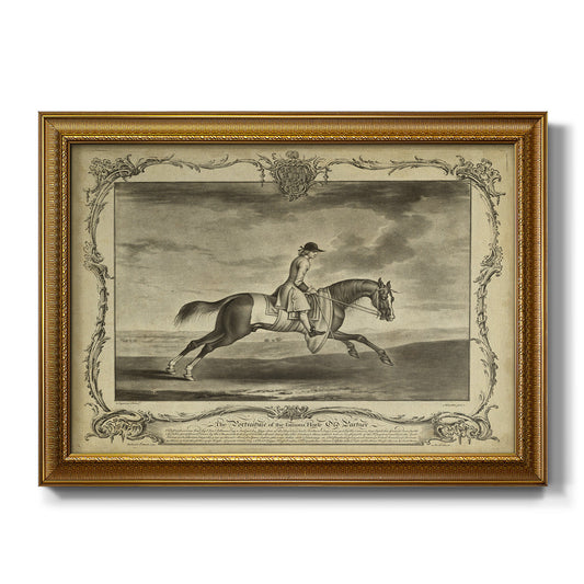 Distinguished Horses I Premium Framed Canvas- Ready to Hang