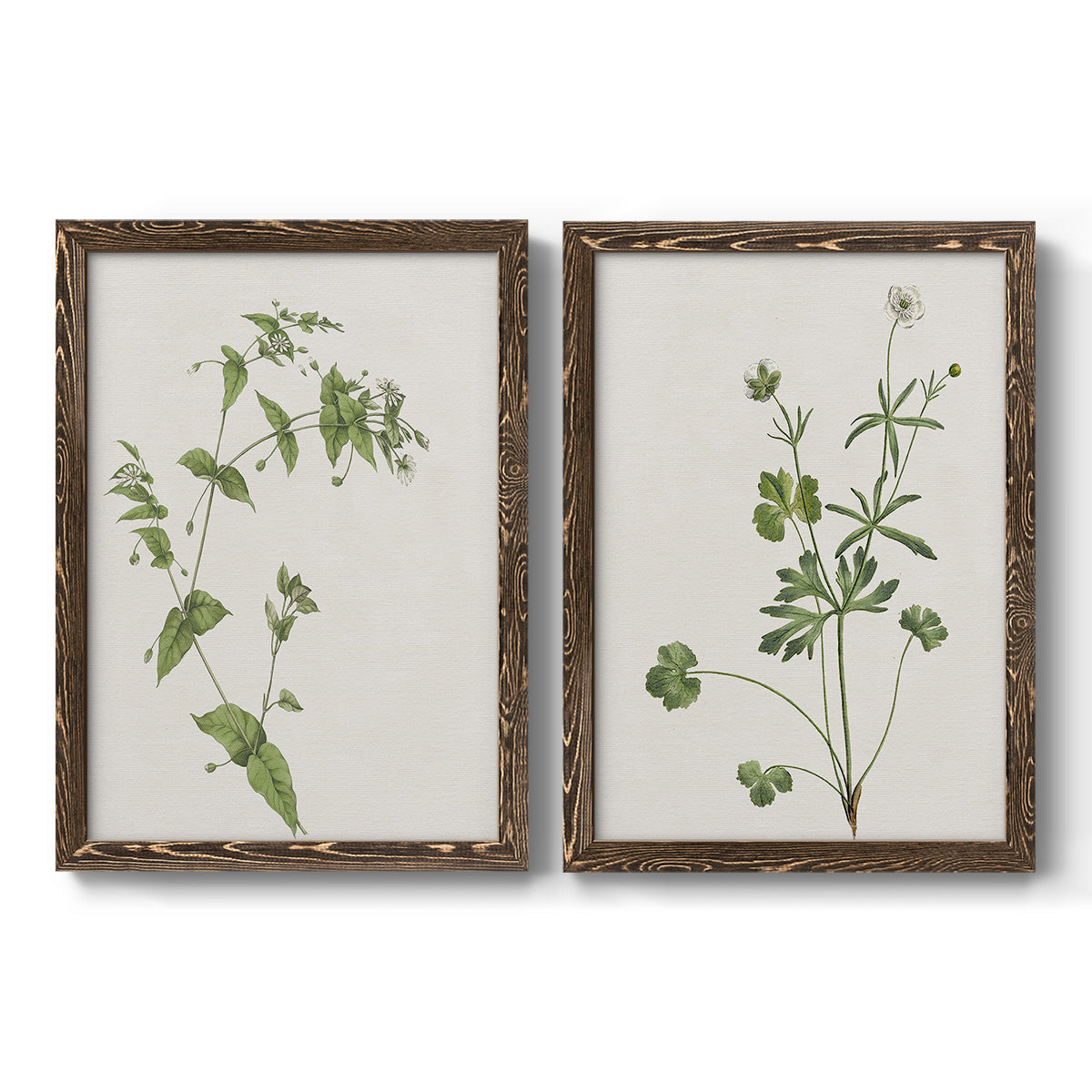 Wispy Botanical I - Premium Framed Canvas 2 Piece Set - Ready to Hang