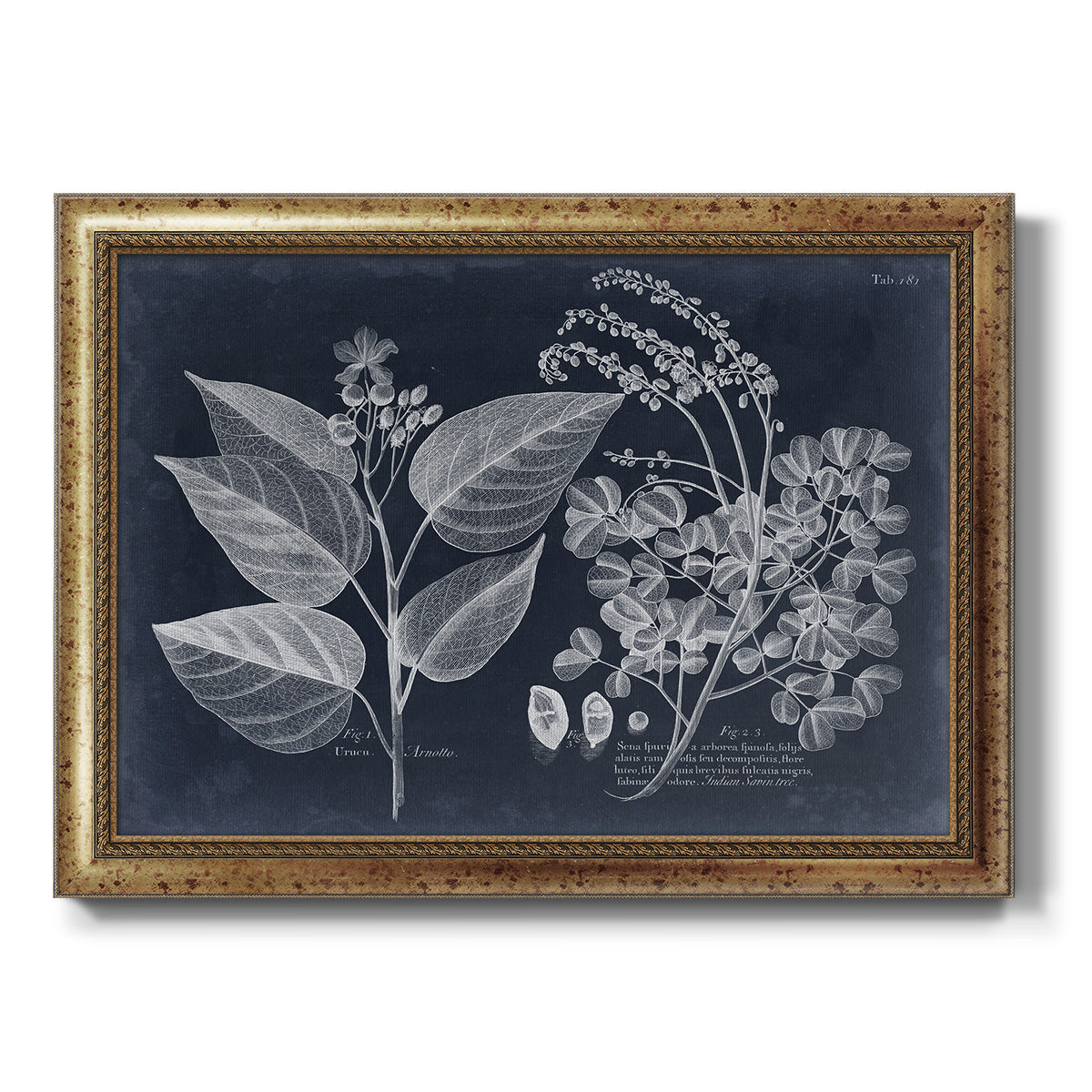 Foliage on Navy III Premium Framed Canvas- Ready to Hang