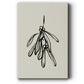 Mistletoe Sketch II - Gallery Wrapped Canvas