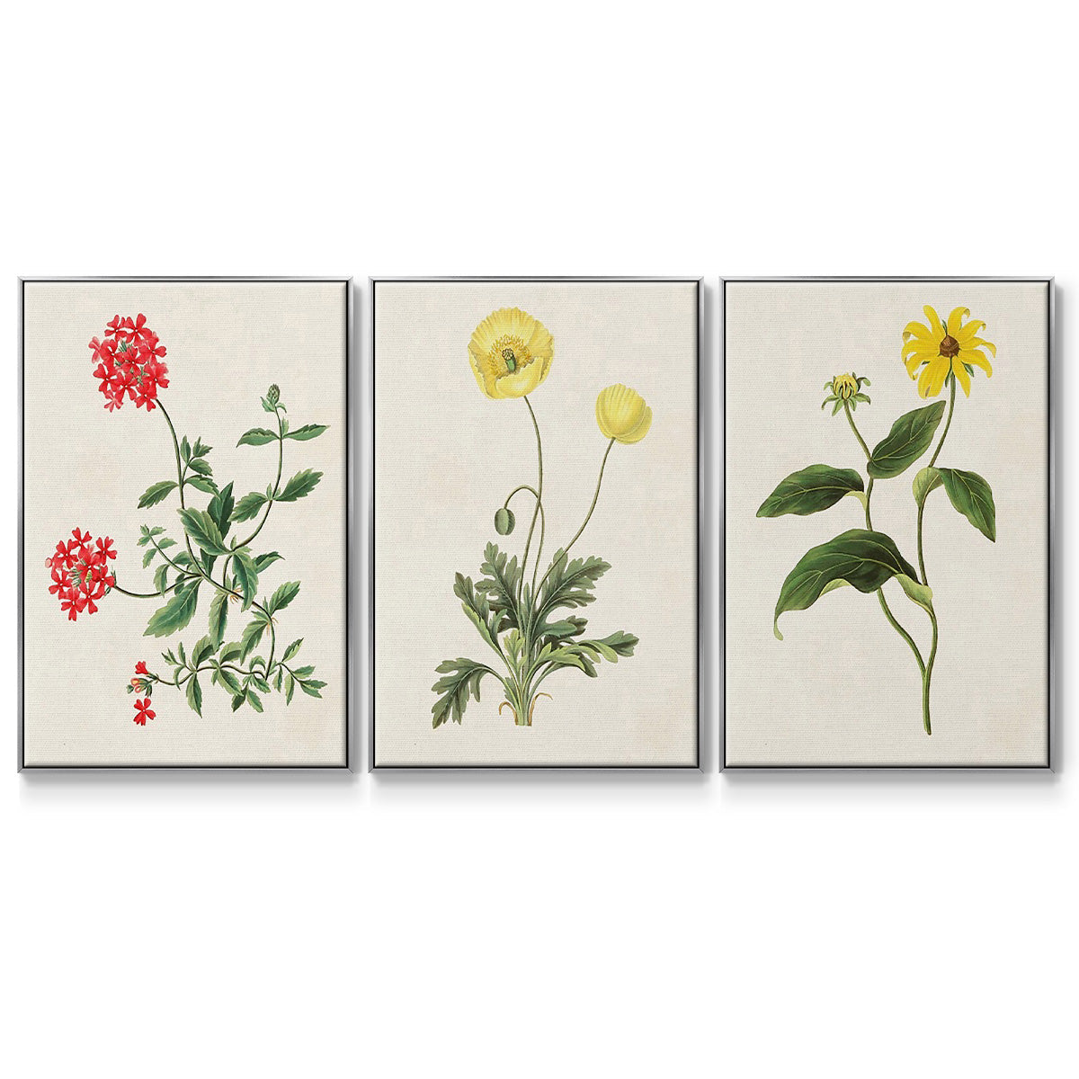 Flowers of the Seasons X - Framed Premium Gallery Wrapped Canvas L Frame 3 Piece Set - Ready to Hang