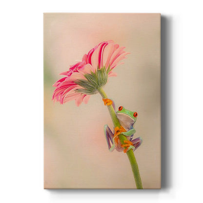 Hanging On I - Canvas Art Print