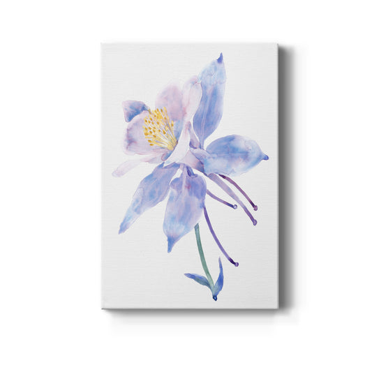 Columbine Bloom II Premium Gallery Wrapped Canvas - Ready to Hang