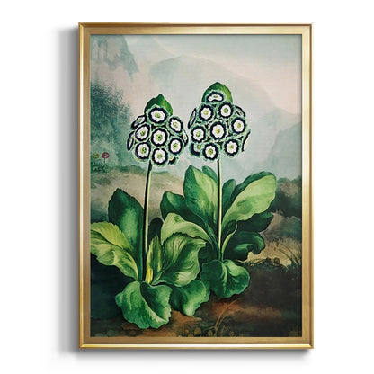 Temple of Flora XI - Modern Framed Canvas Print