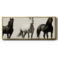 Wild Stallions - Floater Framed Canvas Print