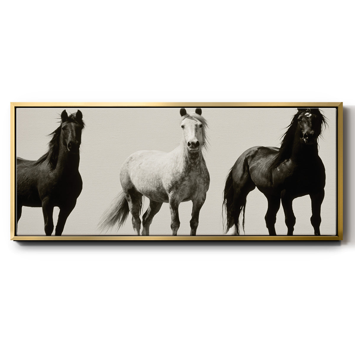 Wild Stallions - Floater Framed Canvas Print