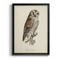 French Owls III - Modern Framed Canvas Print