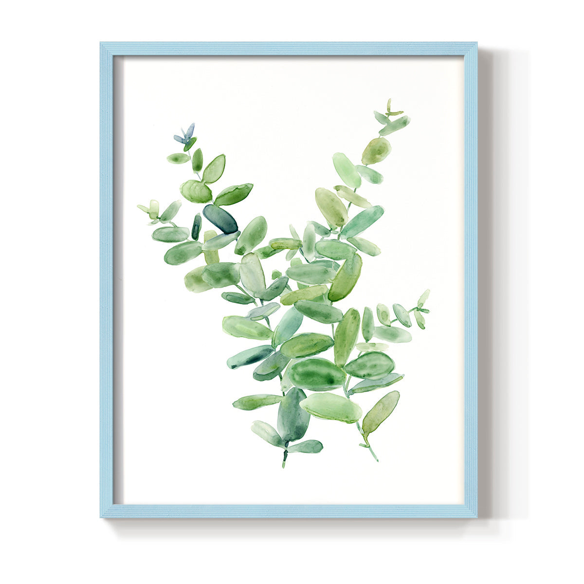 Eucalyptus III - Restickable Framed Art Print