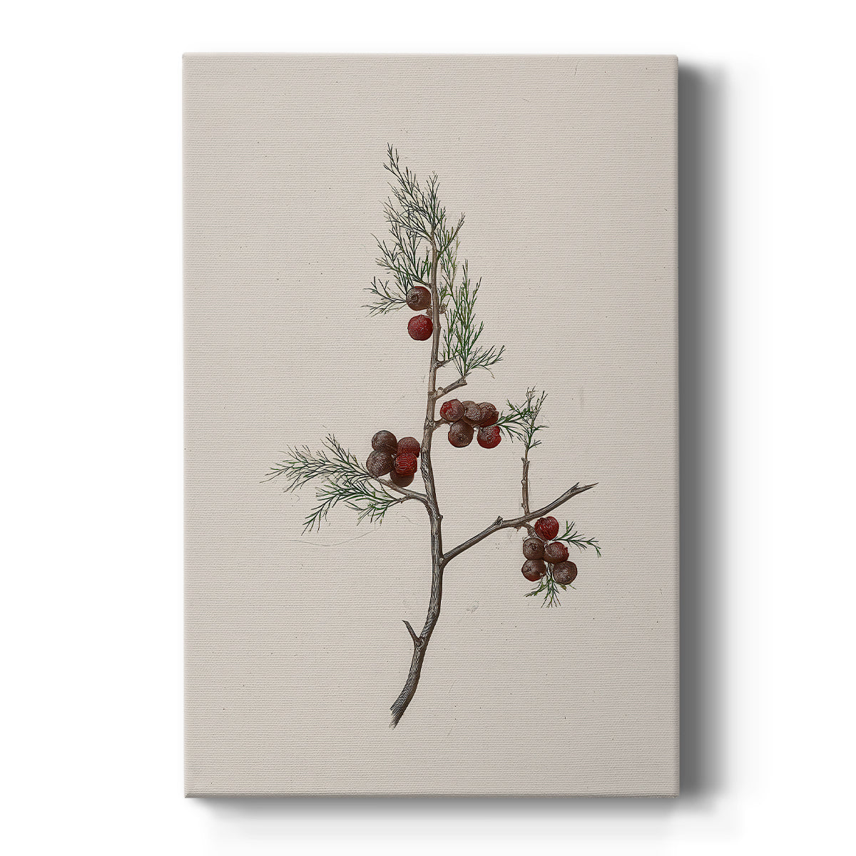 Silver Serenade of Dusk - Canvas Art Print