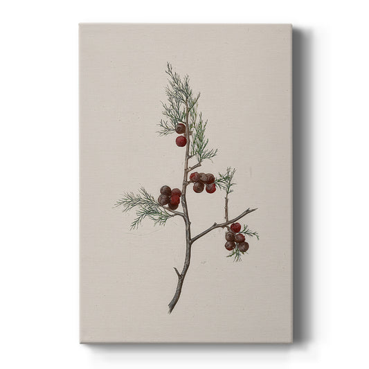 Silver Serenade of Dusk - Canvas Art Print