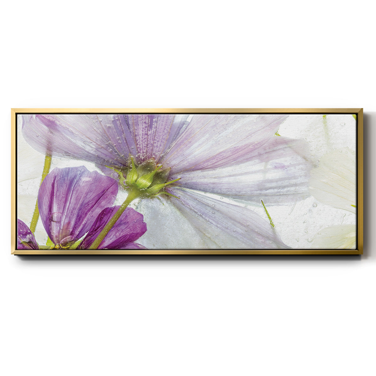 Frozen Floral I - Floater Framed Canvas Print