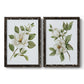 Magnolia Morning I - Premium Framed Canvas 2 Piece Set - Ready to Hang