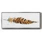 Tail Feather I - Floater Framed Canvas Print