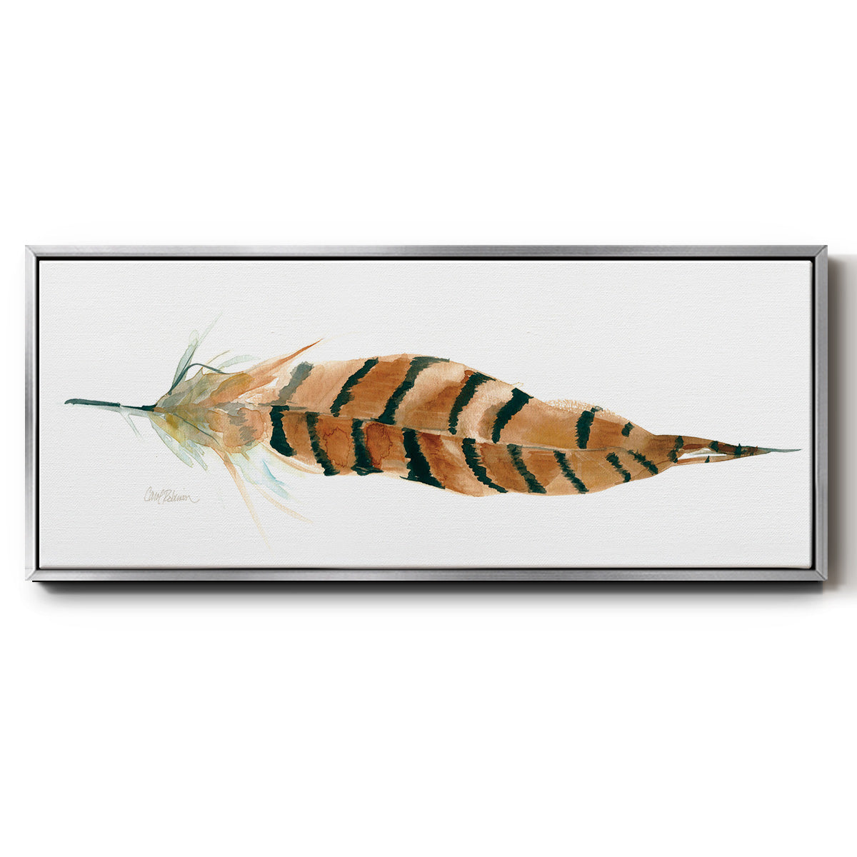 Tail Feather I - Floater Framed Canvas Print