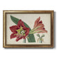 Amaryllis Splendor I Premium Framed Canvas- Ready to Hang