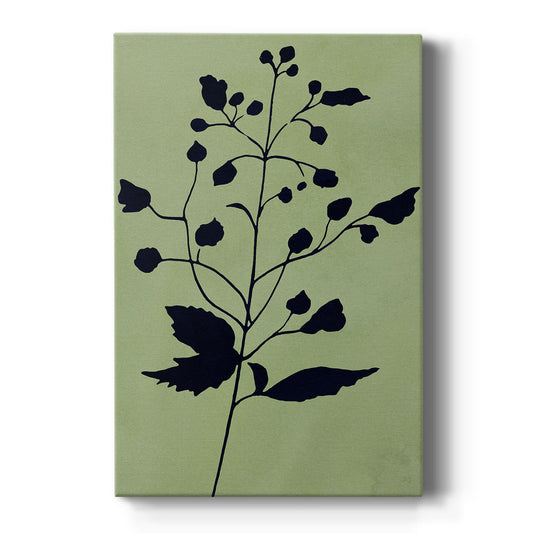 Earthly Botanical II - Canvas Art Print